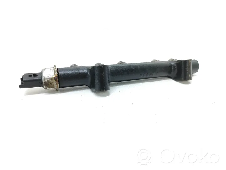 Citroen C4 II Kraftstoffverteiler Einspritzleiste Verteilerrohr 9685297580