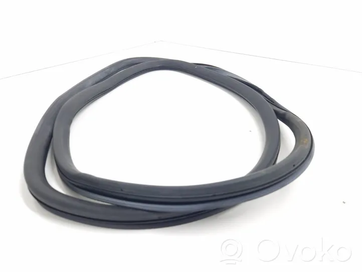 Audi A6 Allroad C6 Front door rubber seal 