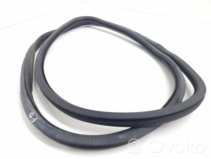 Audi A6 Allroad C6 Front door rubber seal 