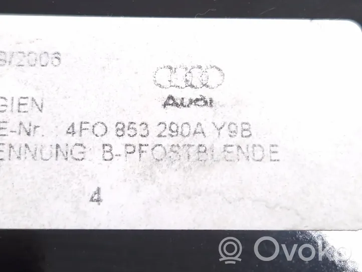 Audi A6 Allroad C6 (B) Garniture de montant extérieur 4F0853290A