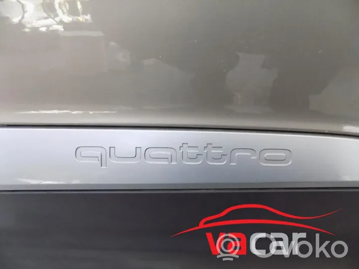 Audi Q7 4M Rear door 