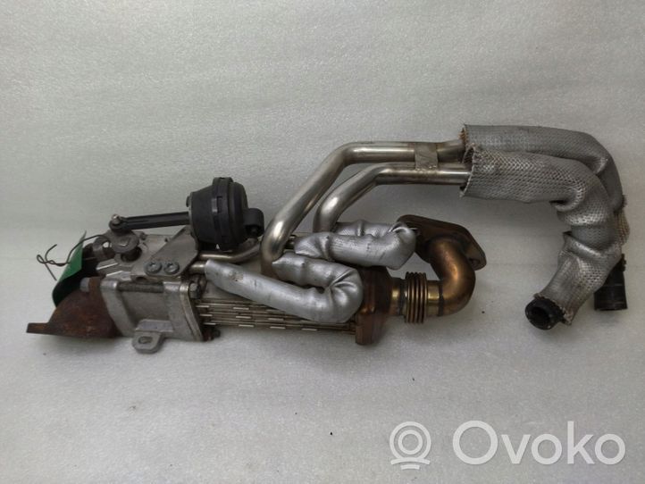 Volkswagen Phaeton EGR-venttiili/lauhdutin 07Z131511G