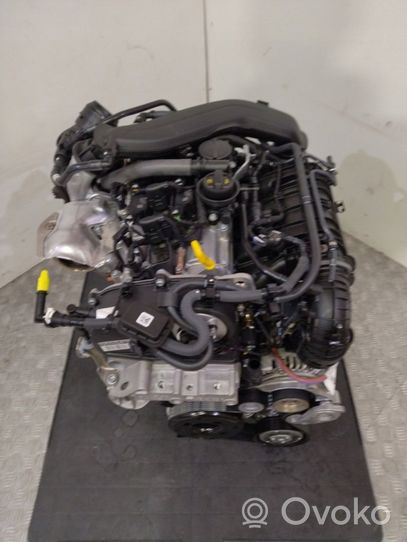 Volkswagen Golf VIII Motore DFYA
