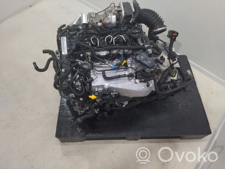 Volkswagen Golf VIII Motore DTS