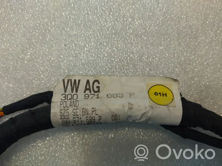 Volkswagen PASSAT B8 Kabel wysokiego napięcia 3Q0971689P