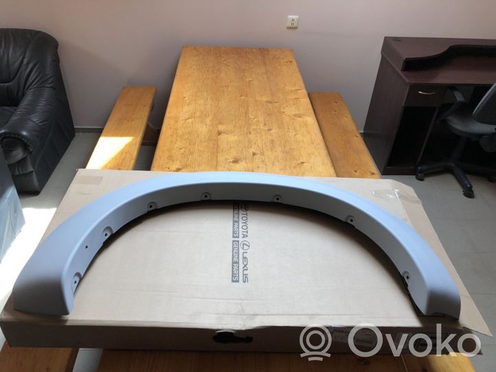 Toyota Hilux (AN10, AN20, AN30) Rear arch trim 616810K926