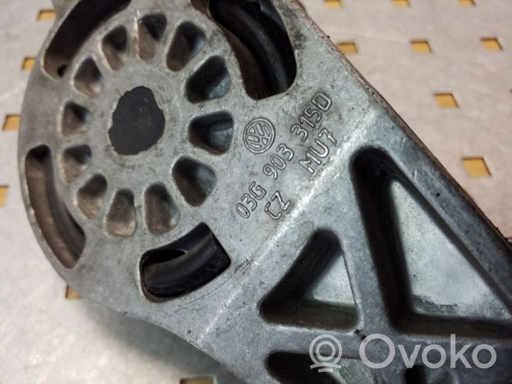 Seat Leon (1P) Napinacz paska wielorowkowego / Alternatora 03G903315D