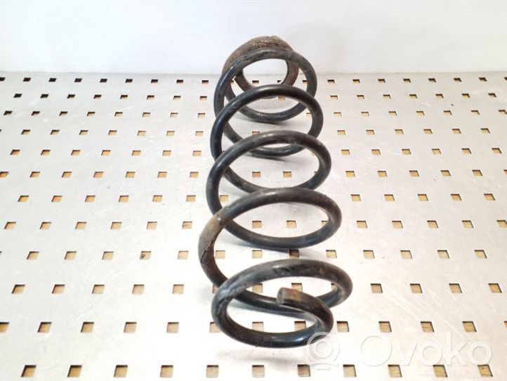 Volkswagen New Beetle Rear coil spring 