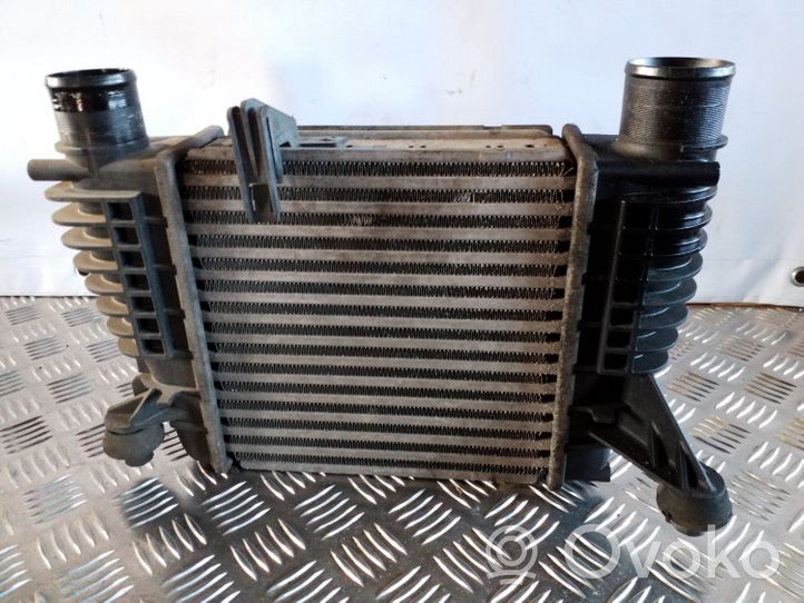 Nissan Juke I F15 Chłodnica powietrza doładowującego / Intercooler 14461EM00A