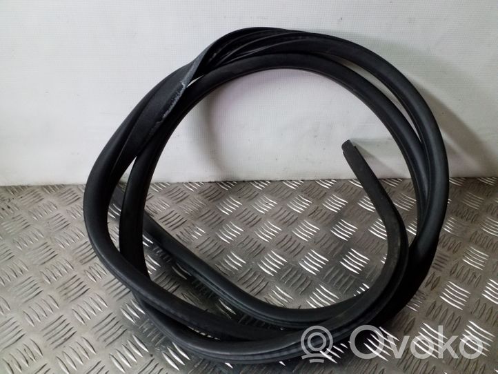 Ford Focus Front door rubber seal 