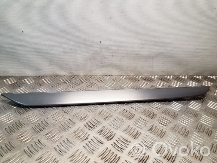 Volkswagen PASSAT CC Front door trim bar 3C8868072