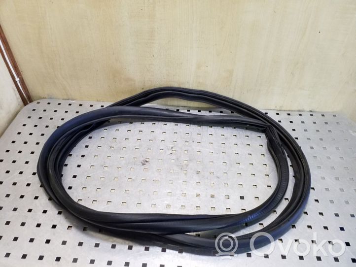 Mitsubishi Outlander Rear door rubber seal (on body) 