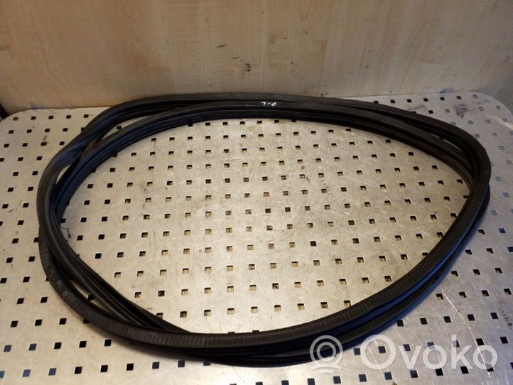 Volkswagen Touareg II Front door rubber seal 7P0867367