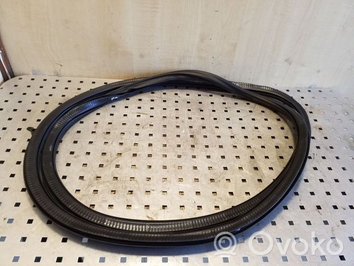 Audi A8 S8 D4 4H Front door rubber seal 