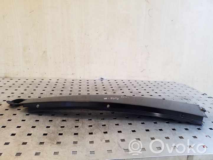 BMW X5 E53 Altro elemento di rivestimento della portiera posteriore 