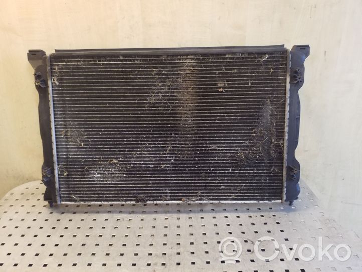 Seat Exeo (3R) Dzesēšanas šķidruma radiators 8E0121251A