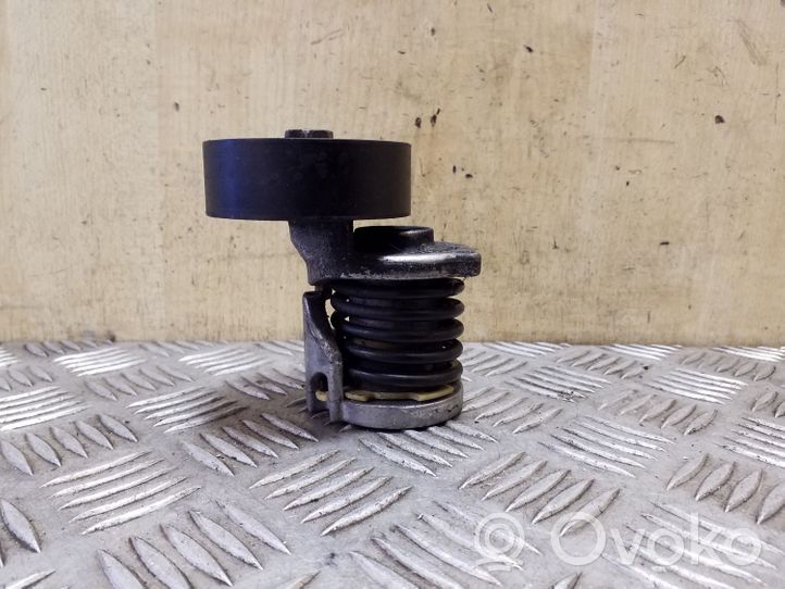 Volkswagen Tiguan Napinacz paska alternatora 038903315AH