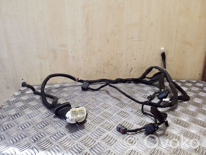 Chevrolet Captiva Front door wiring loom 20980110