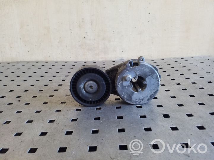 Audi Q5 SQ5 Tendicinghia generatore/alternatore 06H903133F