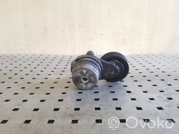 Chevrolet Captiva Napinacz paska alternatora 25182787