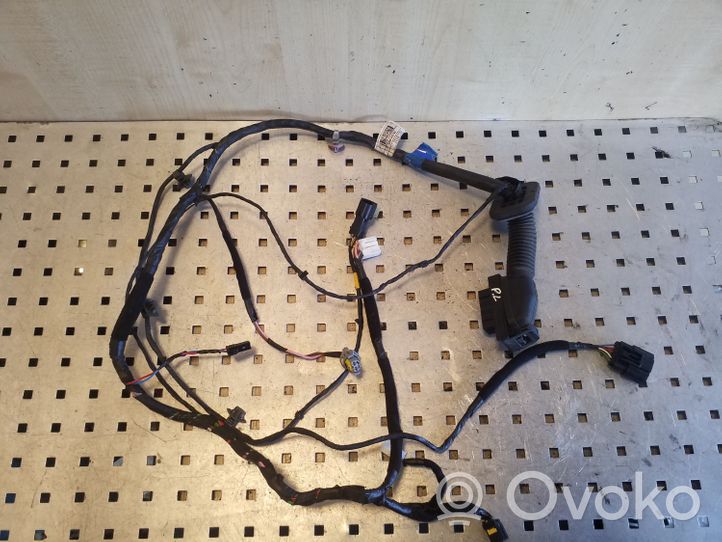 Hyundai ix35 Cableado de puerta delantera 916112Y010