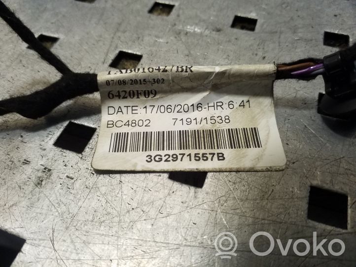 Volkswagen PASSAT B8 Wiązka przewodów drzwi przednich 3G2971557B