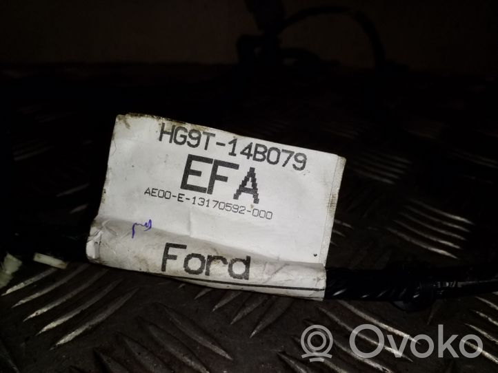 Ford Mondeo MK V Altro tipo di cablaggio HG9T14B079EFA