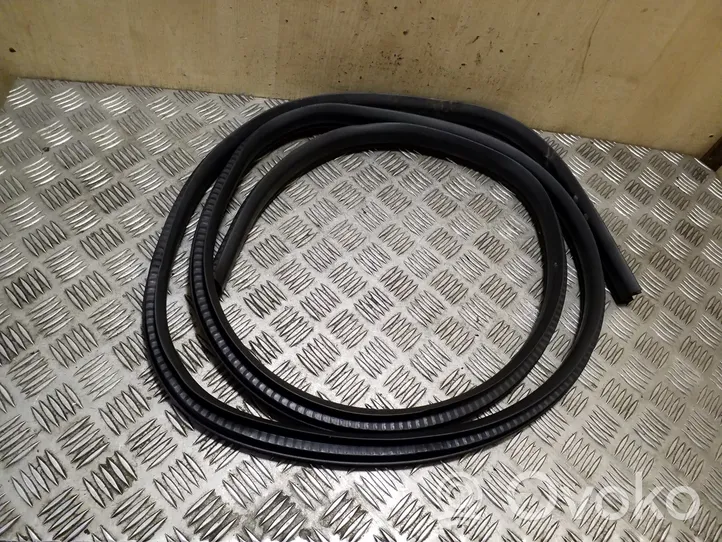 Ford Kuga II Front door rubber seal 