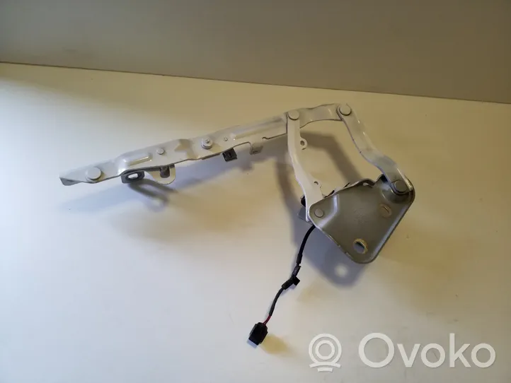 Land Rover Evoque II Cerniere del vano motore/cofano K8D216801AD