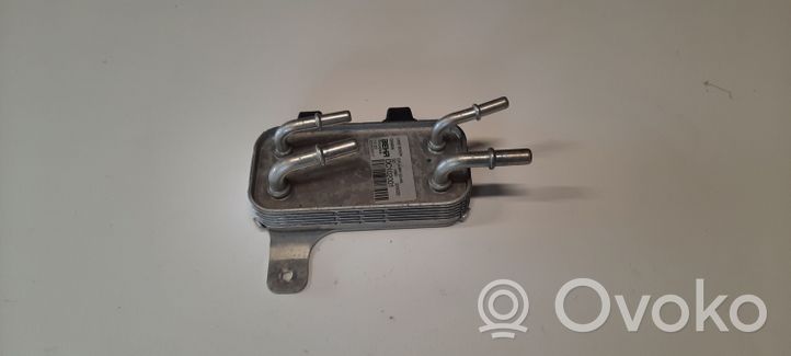 Land Rover Range Rover L405 Radiatore del carburatore (radiatore) CPLA9N103AA