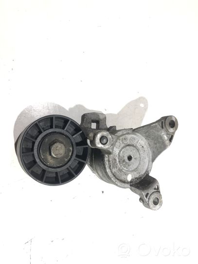 Peugeot 307 Tendicinghia generatore/alternatore TF070