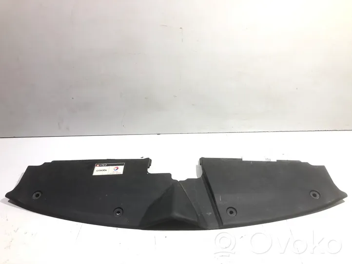 Citroen C4 Grand Picasso Radiator trim 9654195880