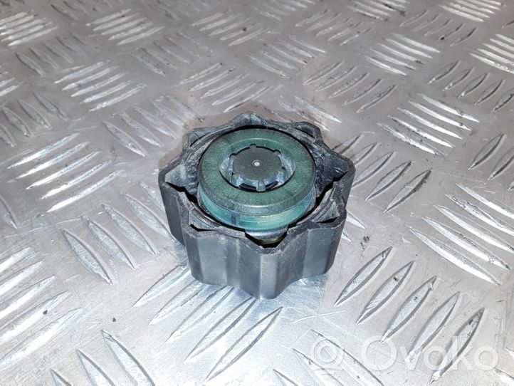 Citroen Xsara Picasso Serbatoio di compensazione del liquido refrigerante/coperchio 