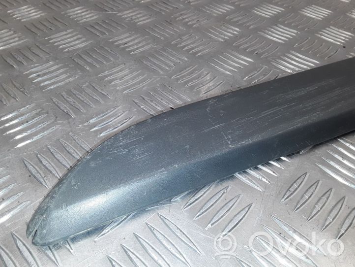 Renault Megane II Rear door trim (molding) 8200648669