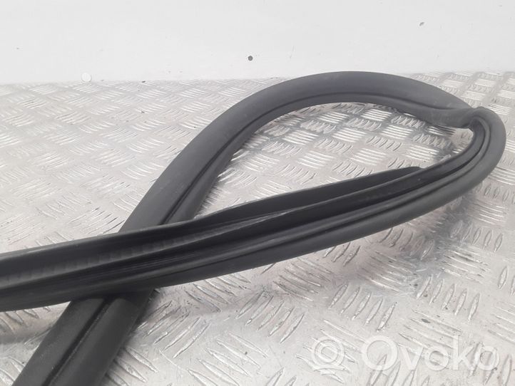 Jaguar X-Type Rear door rubber seal (on body) 