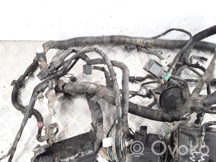 Nissan Primera Faisceau de câblage pour moteur 24012AV012