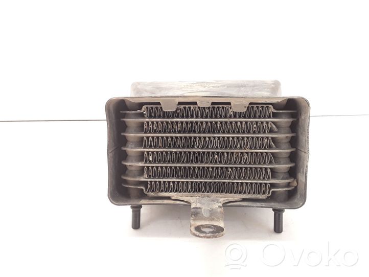 Fiat Scudo Radiatore del carburatore (radiatore) 130341