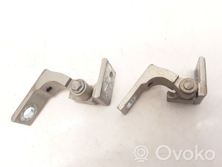 Fiat Bravo Front door hinge set 