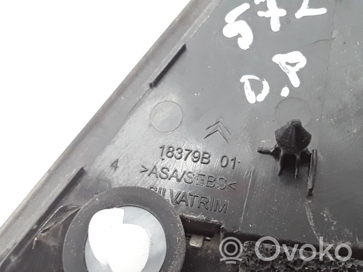 Citroen C3 Copertura in plastica per specchietti retrovisori esterni 18379B