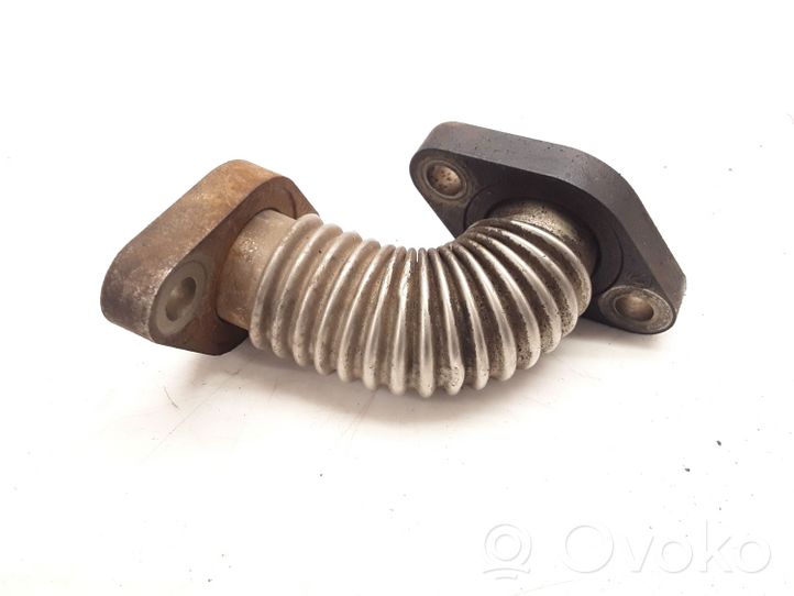 Alfa Romeo 166 EGR vamzdelis (-iai)/ žarna (-os) 