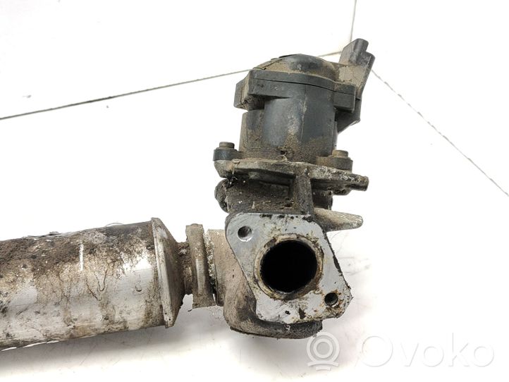 Citroen Berlingo Chłodnica spalin EGR 9660276280