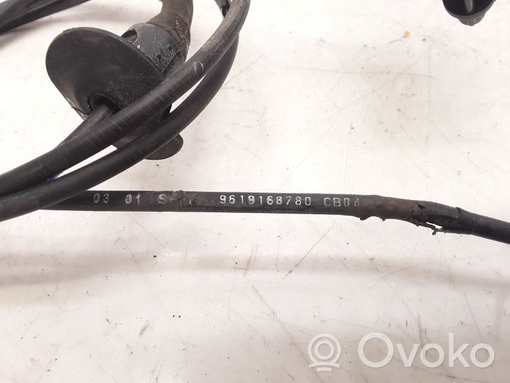 Peugeot 406 Poignée, déverrouillage du capot moteur 9619168780