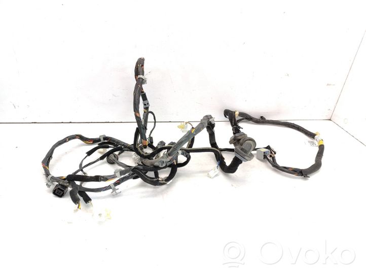KIA Carnival Tailgate/trunk wiring harness 916804D121
