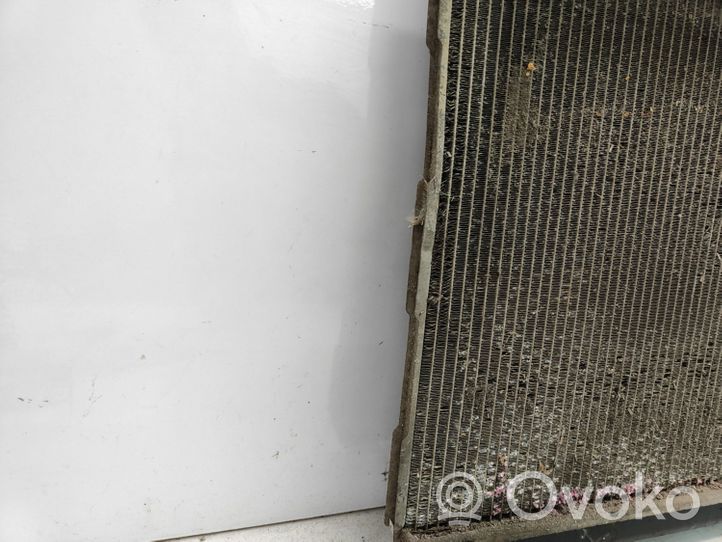 Hyundai Santa Fe Coolant radiator 