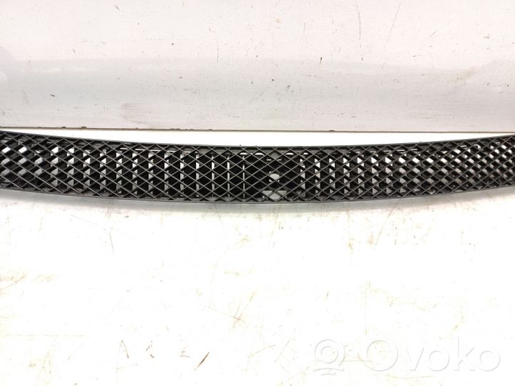 Volkswagen Transporter - Caravelle T4 Bonnet/hood grill 701819044