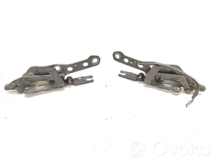 BMW X3 E83 Cerniere del vano motore/cofano 3411448