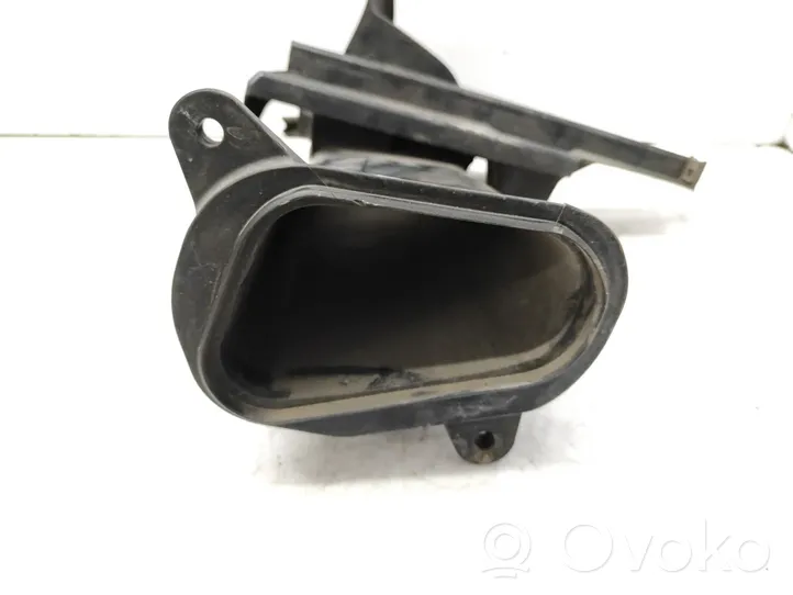 BMW Z4 E85 E86 Oro paėmimo kanalo detalė (-ės) 13717514869