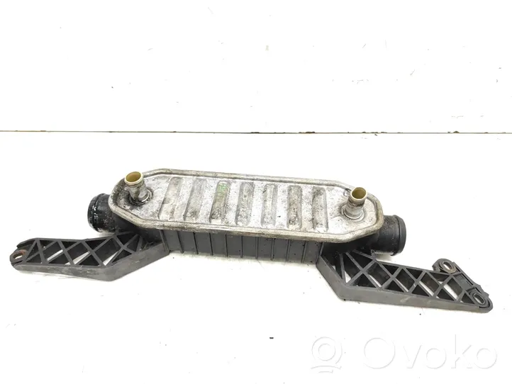 Peugeot 607 Chłodnica powietrza doładowującego / Intercooler 5020709F