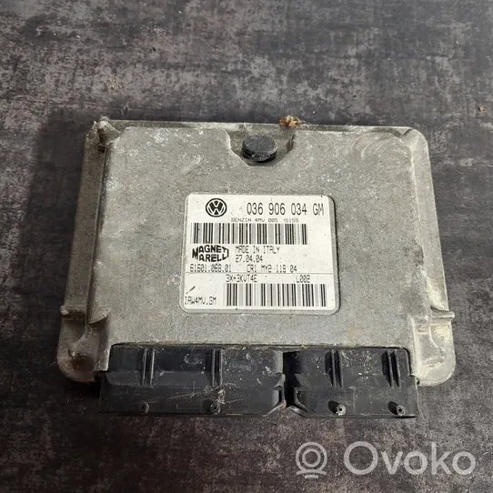 Seat Ibiza III (6L) Sterownik / Moduł ECU 036906034GH