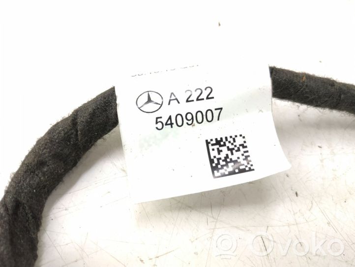 Mercedes-Benz S W222 Wiązka przewodów drzwi przednich 2225409007